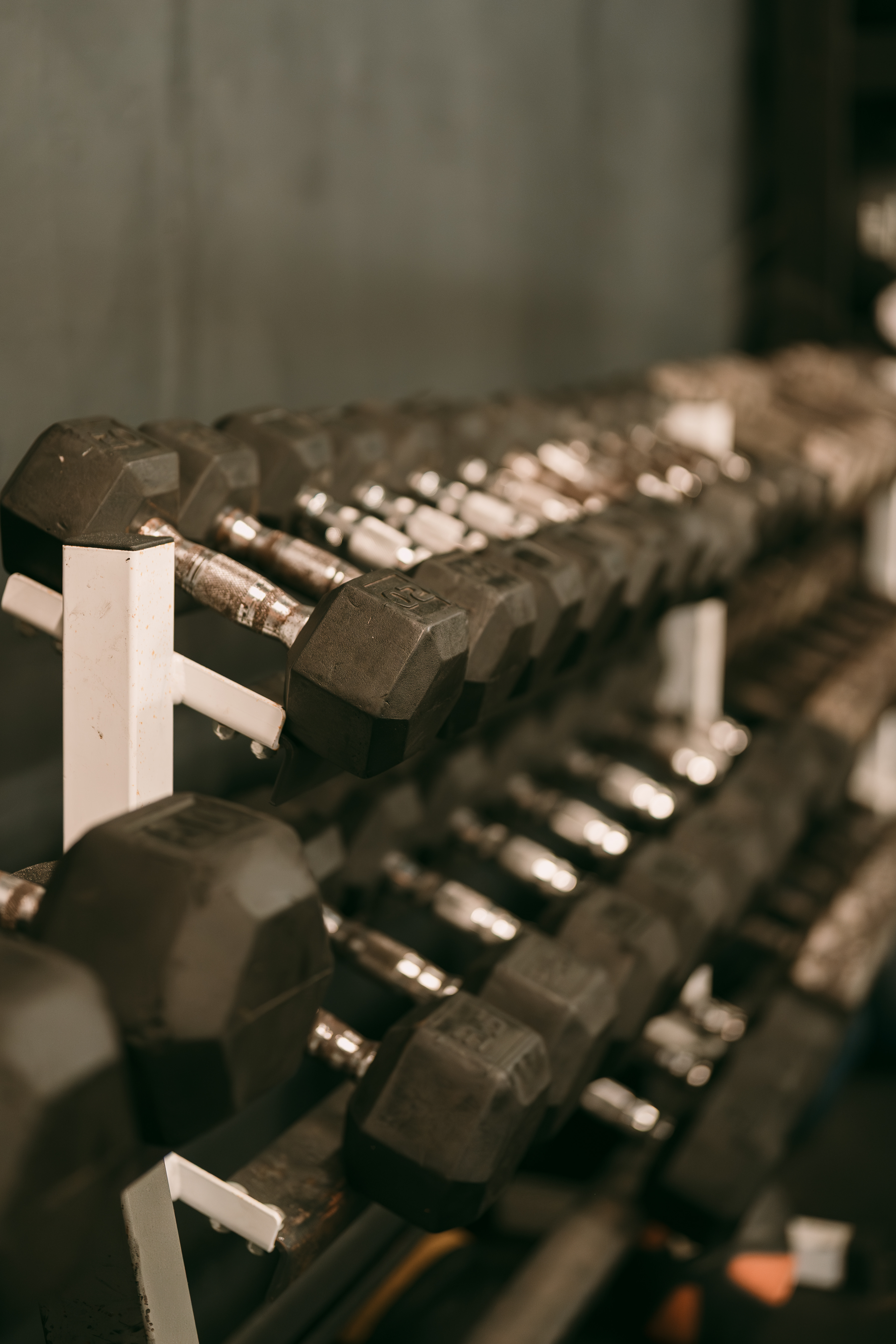 Sports Performance — N.O.W. Fitness